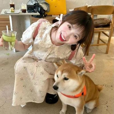 沙普的伙伴